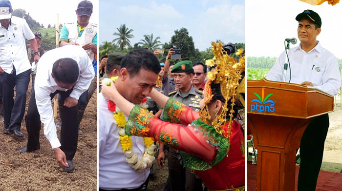 Mentan: "Tanami Jagung! Jangan Rumput yang Tumbuh di Kebun Sawit"